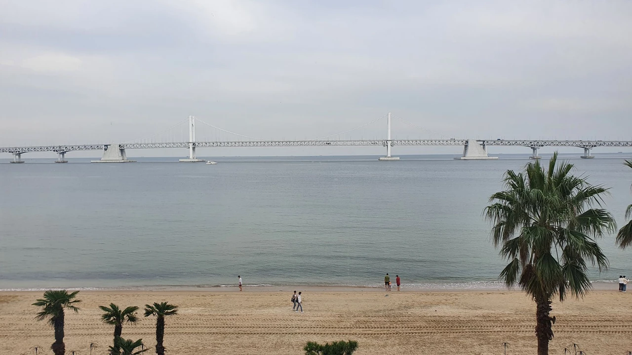 Gwangalli Beach and the illuminated Gwangandaegyo Bridge in Busan, South Korea